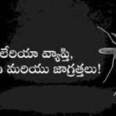 మలేరియా వ్యాప్తి, నివారణ మరియు జాగ్రత్తలు!